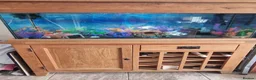 Other/Mixed Breed fish for sale: Solid Oak Fish Tank Cabinet  in Caerphilly - Advert 1