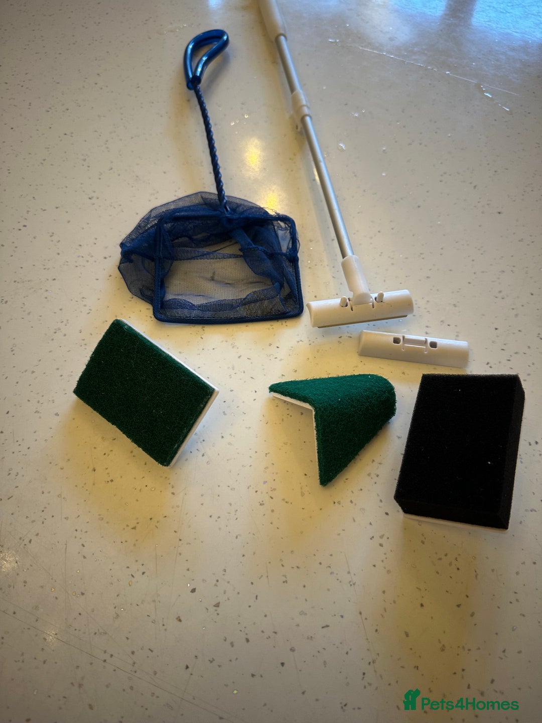 Angelfish fish for sale: Fish tank starter kit - Advert 4