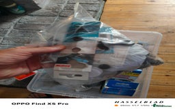 Cichlids fish for sale: Professional tropical aquarium set up - Image 12