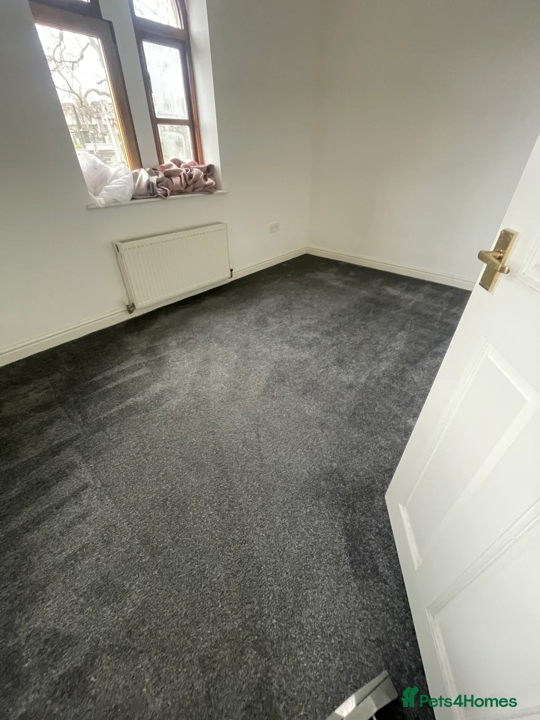 Cavapoo dogs for sale: Beautiful cavapoo puppies  - Advert 19