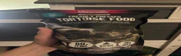 Tortoise reptiles for sale: Mediterranean Tortoise - Mylie - Advert 12