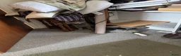 Mixed Breed cats for sale: 2 Kittens for Farm Cats.  - Advert 2