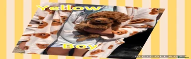 Yellow boy 