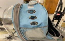 British Shorthair cats for sale: Pet Backpack Carrier Bubble  - Image 5