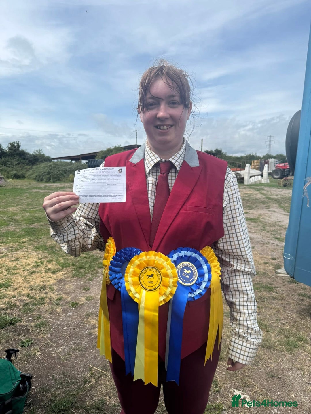 Welsh Section A horses for sale: Beautifully well marked Welsh P/B - Advert 8