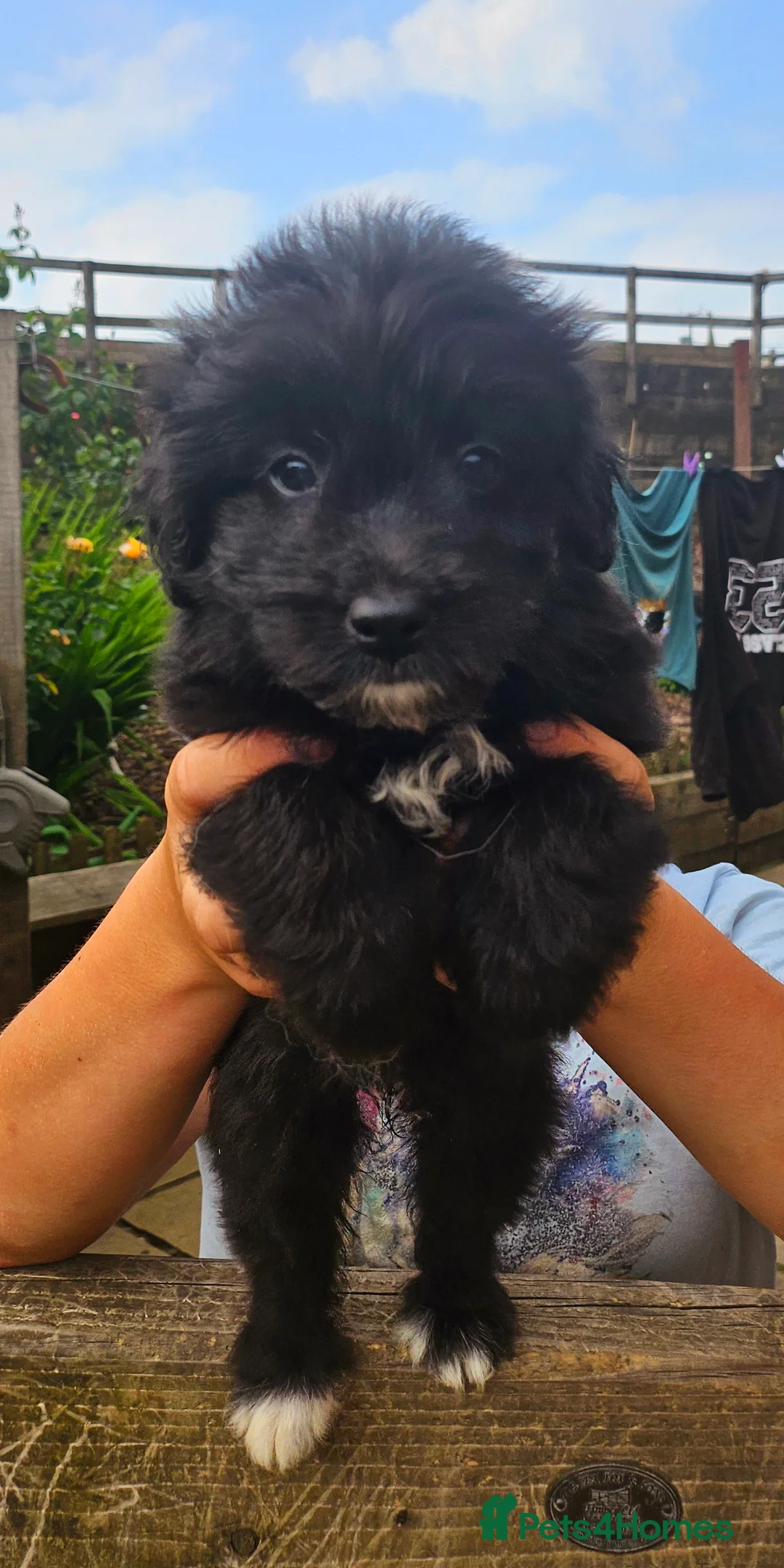 Gallery Image {{count}}