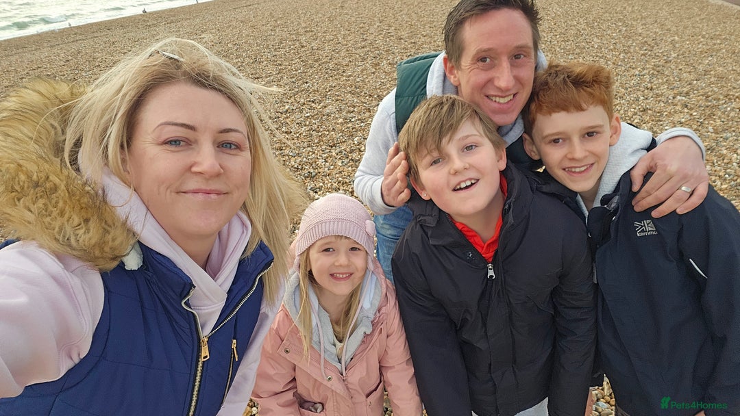 Gallery Image {{count}}