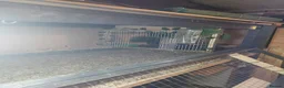 Quail poultry for sale: Quails and full set up - Advert 16
