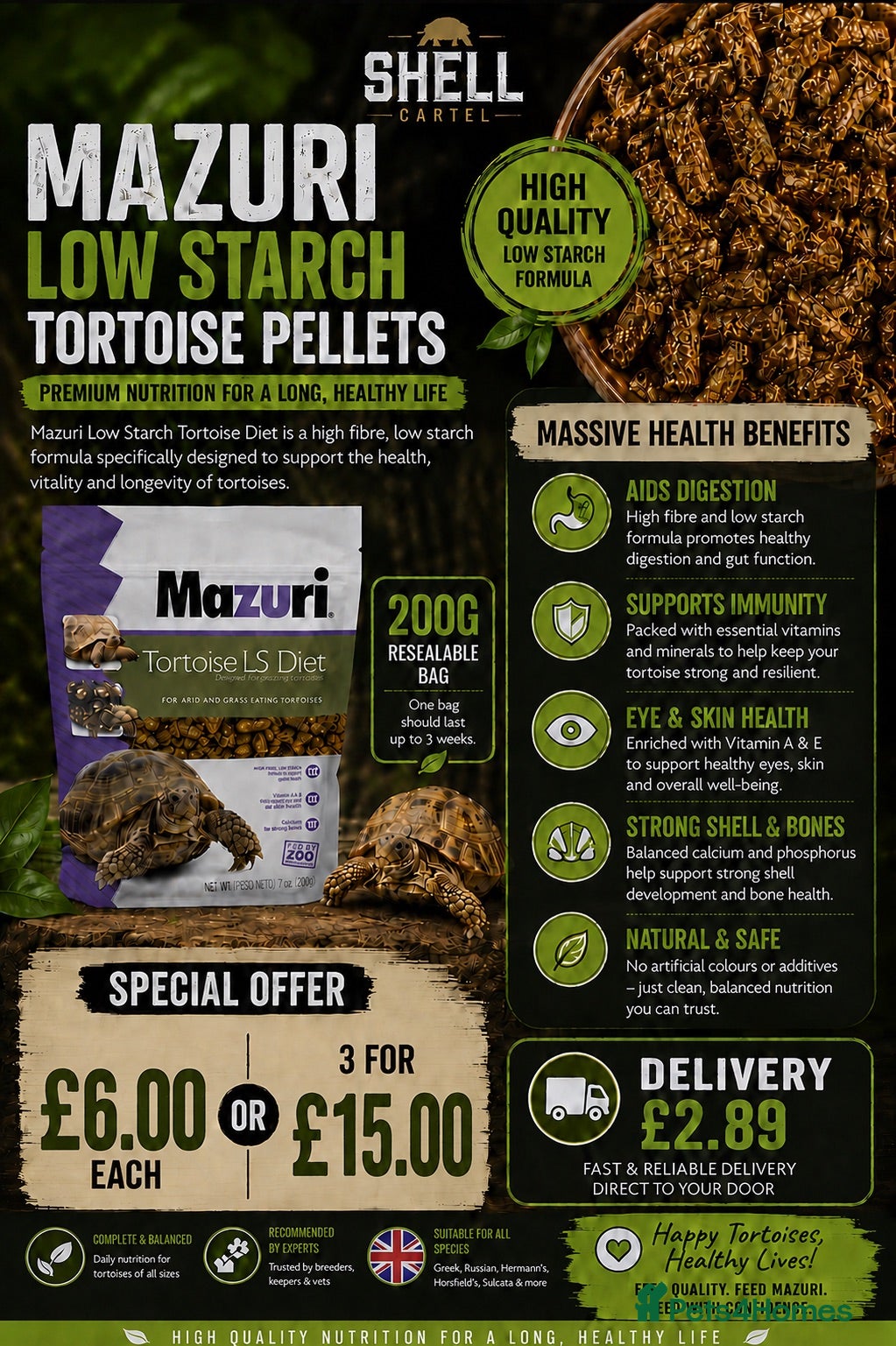 Tortoise reptiles BABY HORSFIELDS & SET UPS - Advert 2