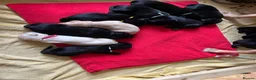Labrador Retriever dogs for sale: Kc reg health tested Labrador pups  in Bideford - Advert 4