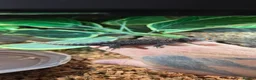 Skink reptiles for sale: Full set up and a pair of redeyed crocodile skinks - Advert 6