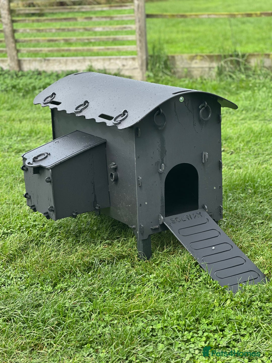 Chickens poultry for sale: Recycled Coops - NO maintenance - Image 14