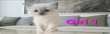 Girl 1