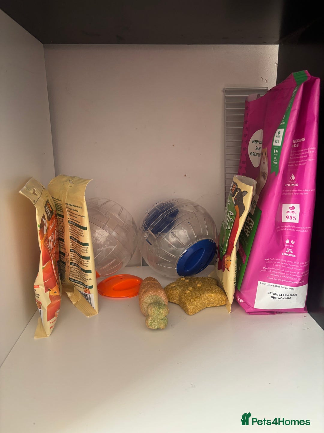 Hamster rodents for sale: Dwarf hamster  - Advert 6