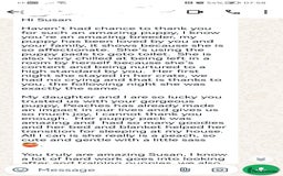 Maltipoo dogs for sale: DNA health tested maltipoo puppies  - Image 10