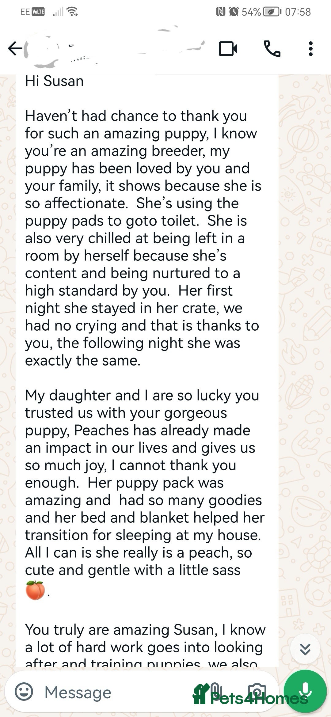 Maltipoo dogs for sale: DNA health tested maltipoo puppies  - Image 10