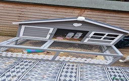 Guinea Pig rodents for sale: 2 x male guinea pigs with hutch - Image 5