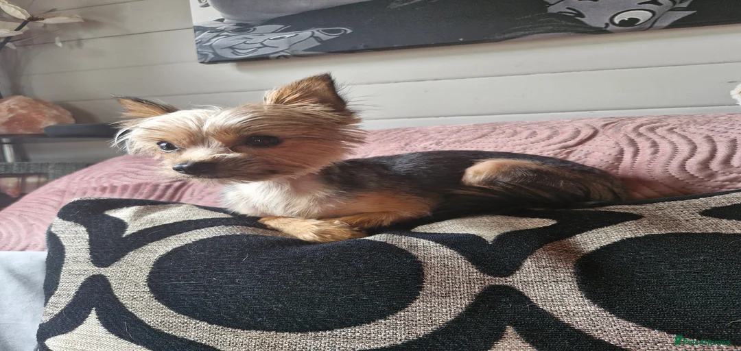 Gallery Image {{count}}