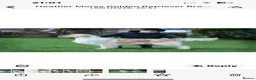 Golden Retriever dogs for sale: KC Golden Retriever Male Puppy 8 weeks old - Advert 7