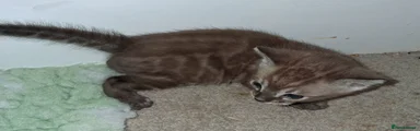 Boy2