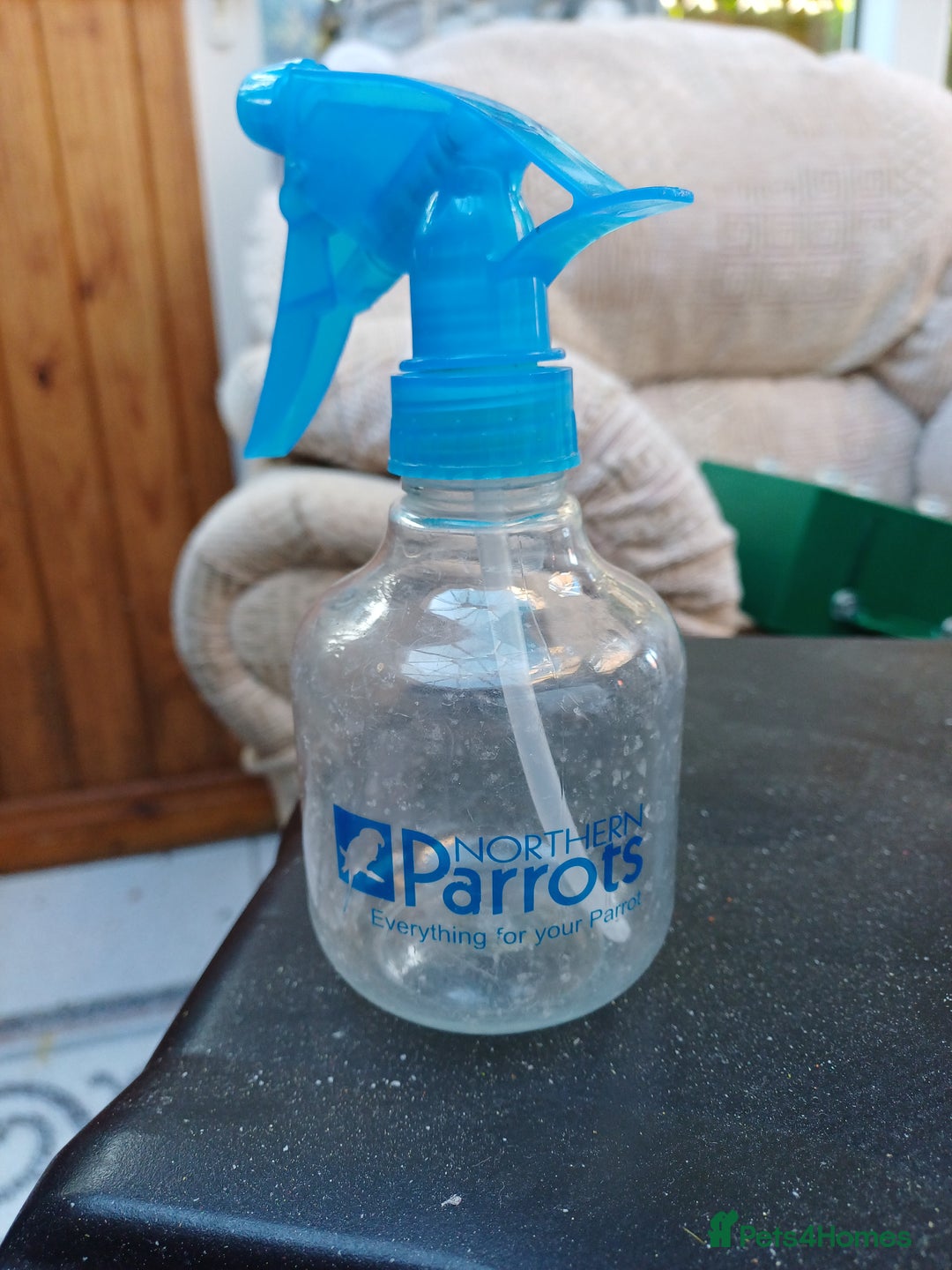 Macaws birds for sale: Blue & Gold Macaw For Sale - Image 22