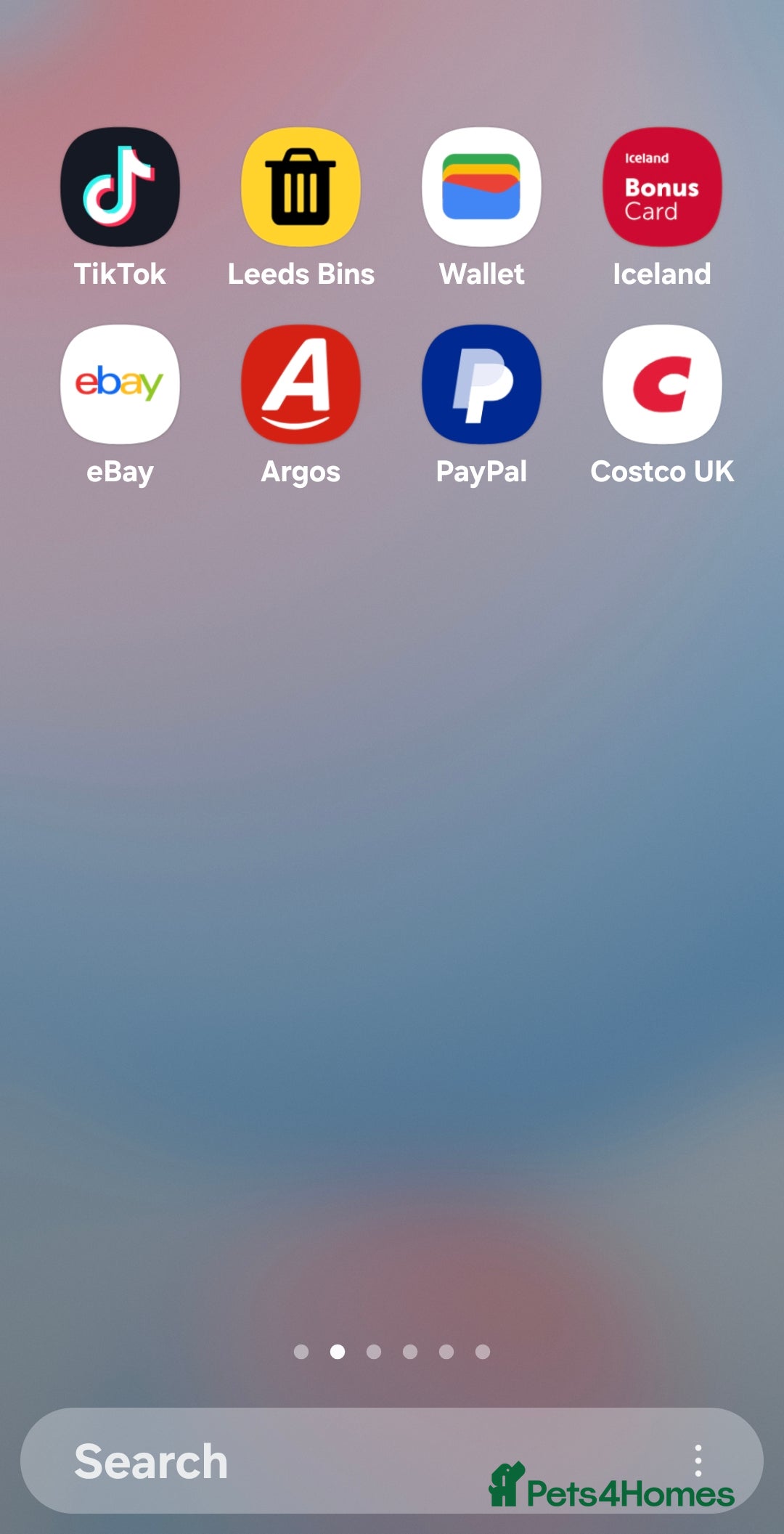 Mixed Breed dogs for sale: Lhasa shon× Shitzu - Advert 8