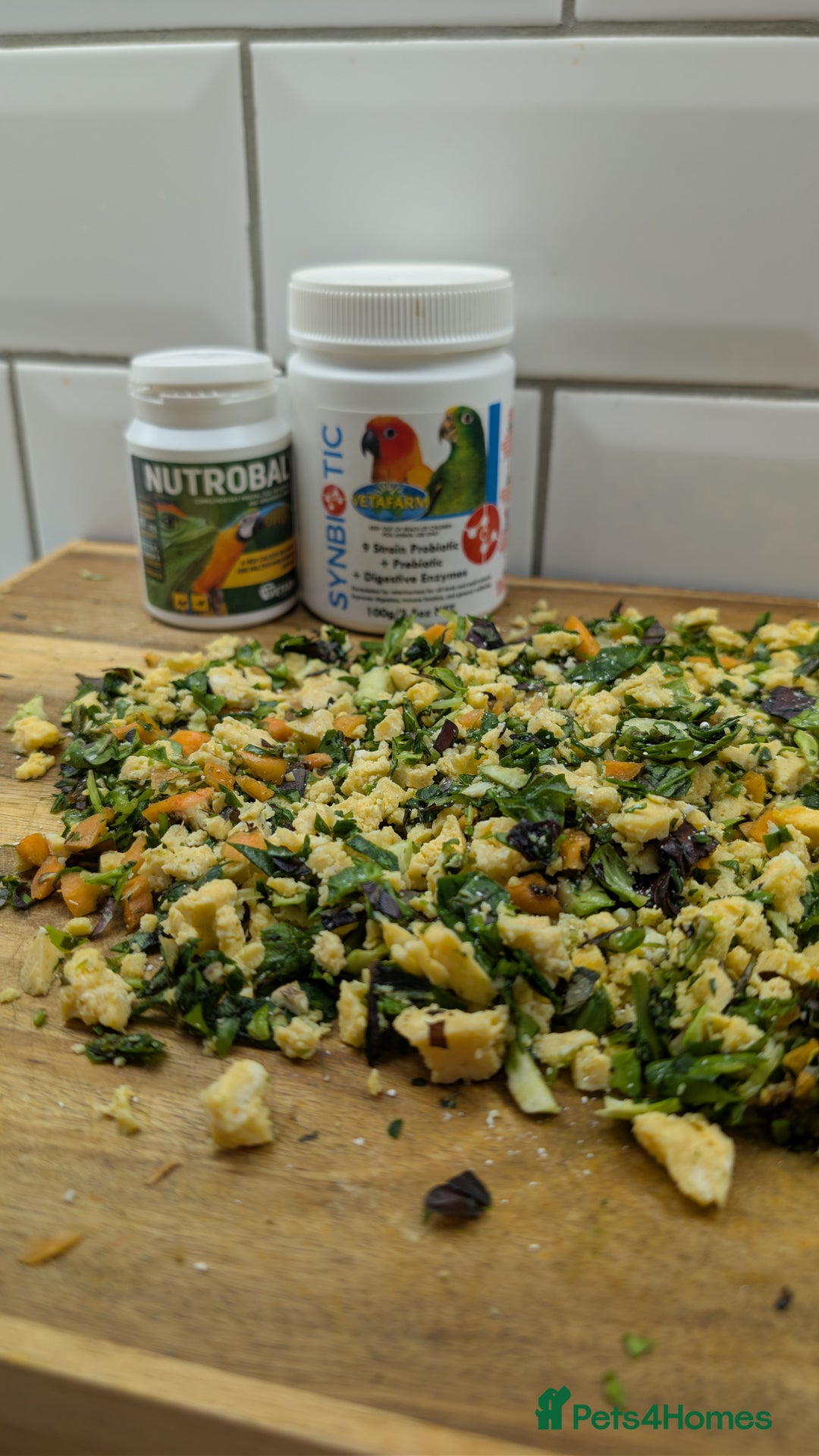 Budgerigars birds for sale: Hand tamed baby budgies for sale - Advert 6