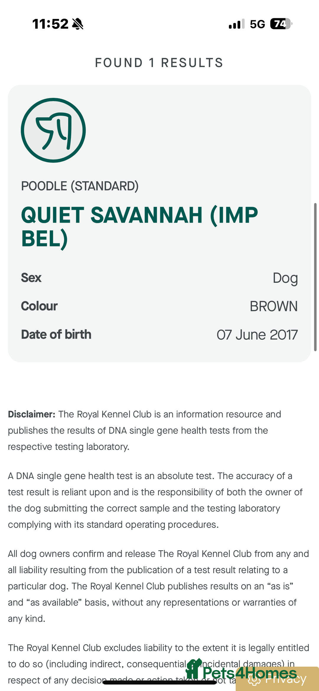 Goldendoodle dogs for sale: Health tested F1 Goldendoodle puppies  - Advert 10