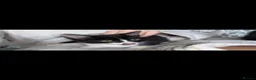 Mixed Breed cats for sale: tabby’s and tuxedo kittens - Advert 2