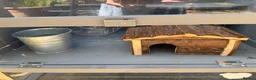Mixed Breed rodents for sale: PawHut Wooden 3-Tier Hamster Small Animal Cage - Advert 4