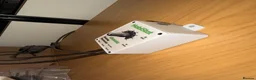 Snake reptiles for sale: Hog nose snake + enclosure for sale  in London - Advert 2