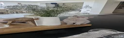 British Shorthair cats for sale: Adorable Silver British Shorthair Kitten for sale  in Dereham - Advert 7