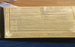 Tortoise reptiles for sale: 4YO (f) hermann & 3YO (f) spur tighed tortoise  - Image 10