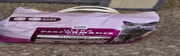 Mixed Breed cats for sale: Job lot of cat accessories  - Advert 11