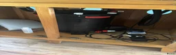 Discus fish for sale: Discus  in Stockport - Advert 4