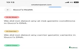 Maltese dogs for stud: ❤️health tested Tiny Korean Maltese boy❤️ - Image 16