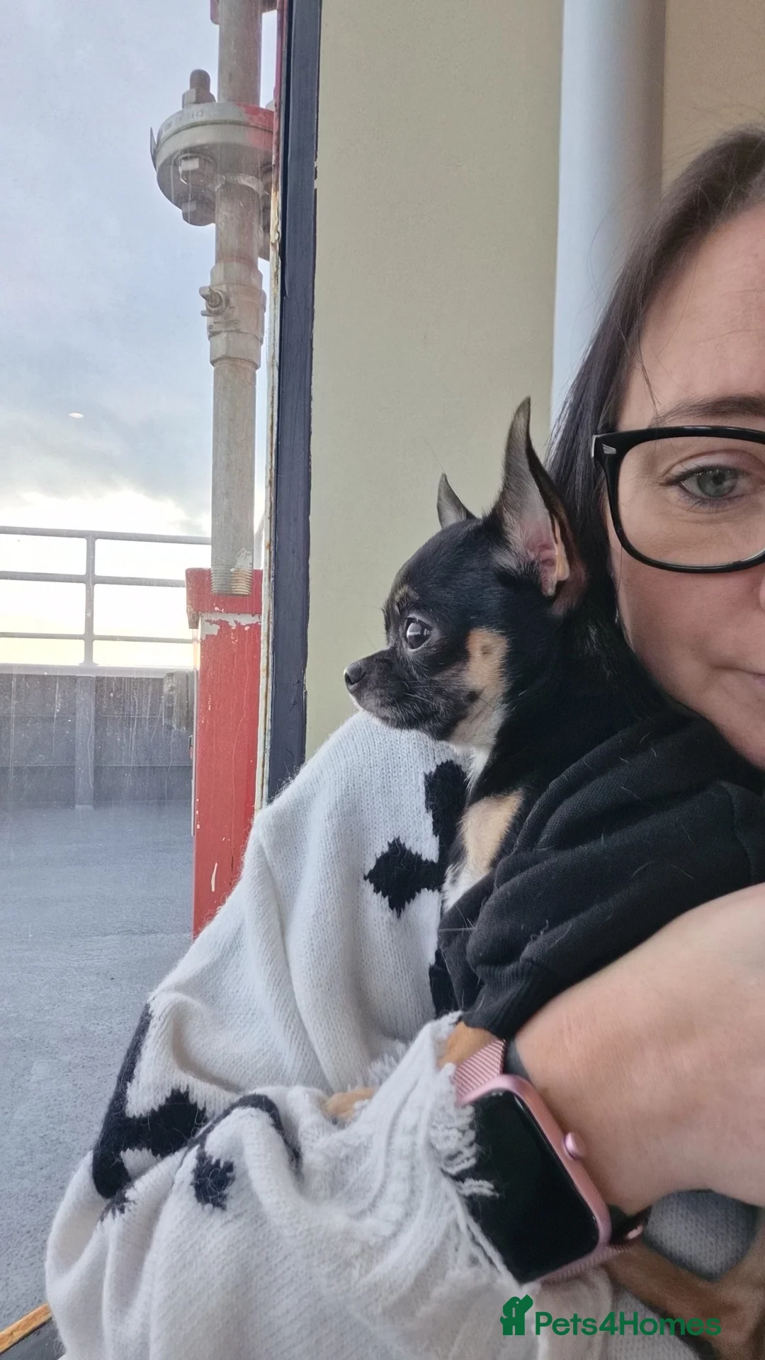 Gallery Image {{count}}