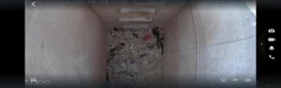 Parrots birds for sale: Young African greys closed rung with cities  in Leeds - Advert 8