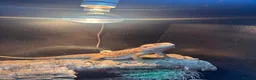Bearded Dragon reptiles for sale: Male bearded dragon  - Advert 5