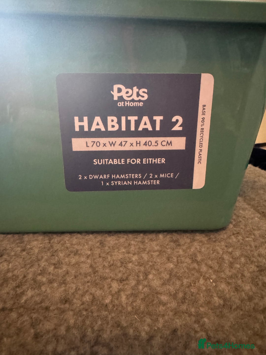 Hamster rodents for sale: Hamster house bundle - Advert 6