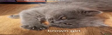 Brown girl