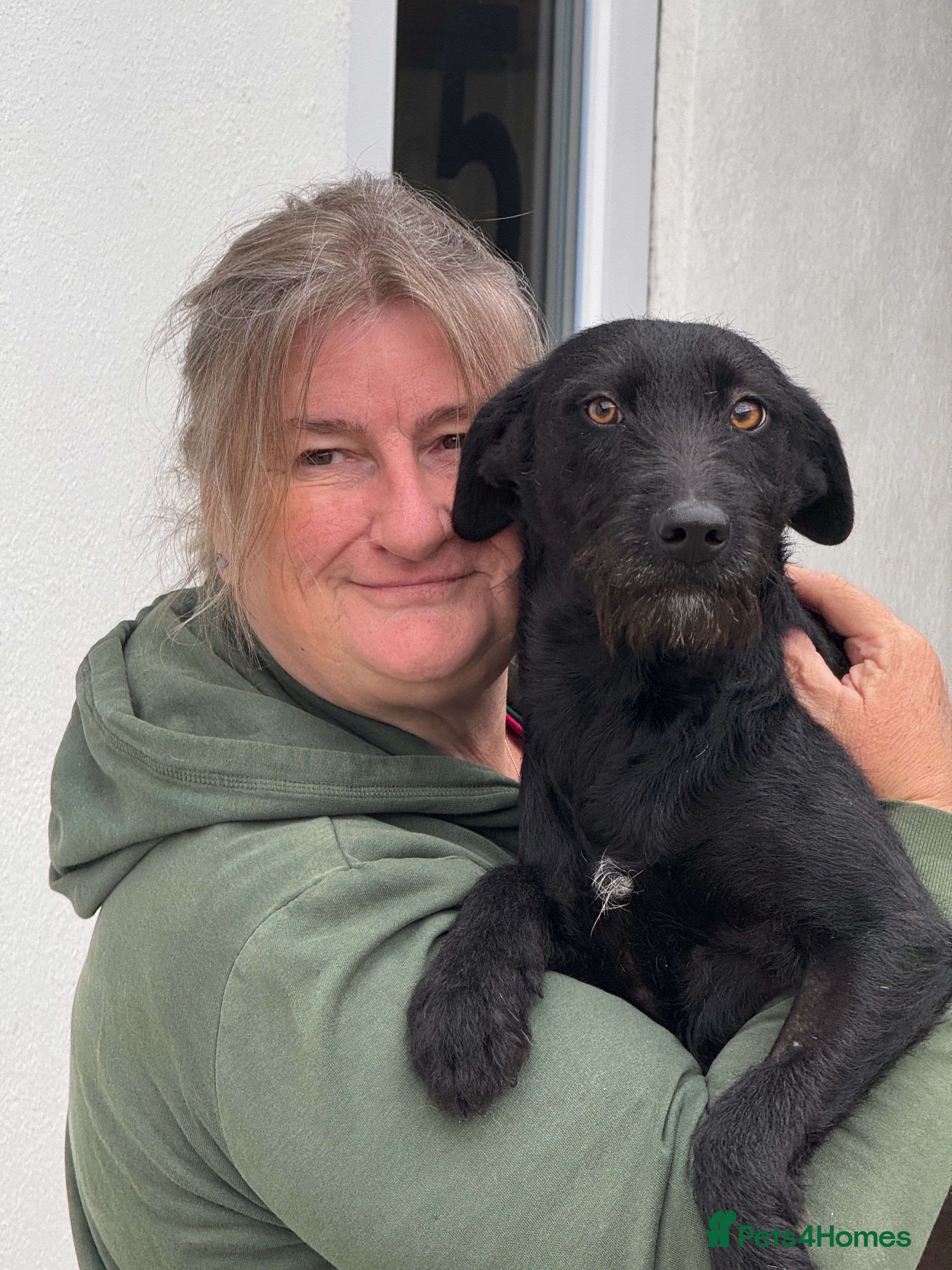 Joy. — Mixed Breed