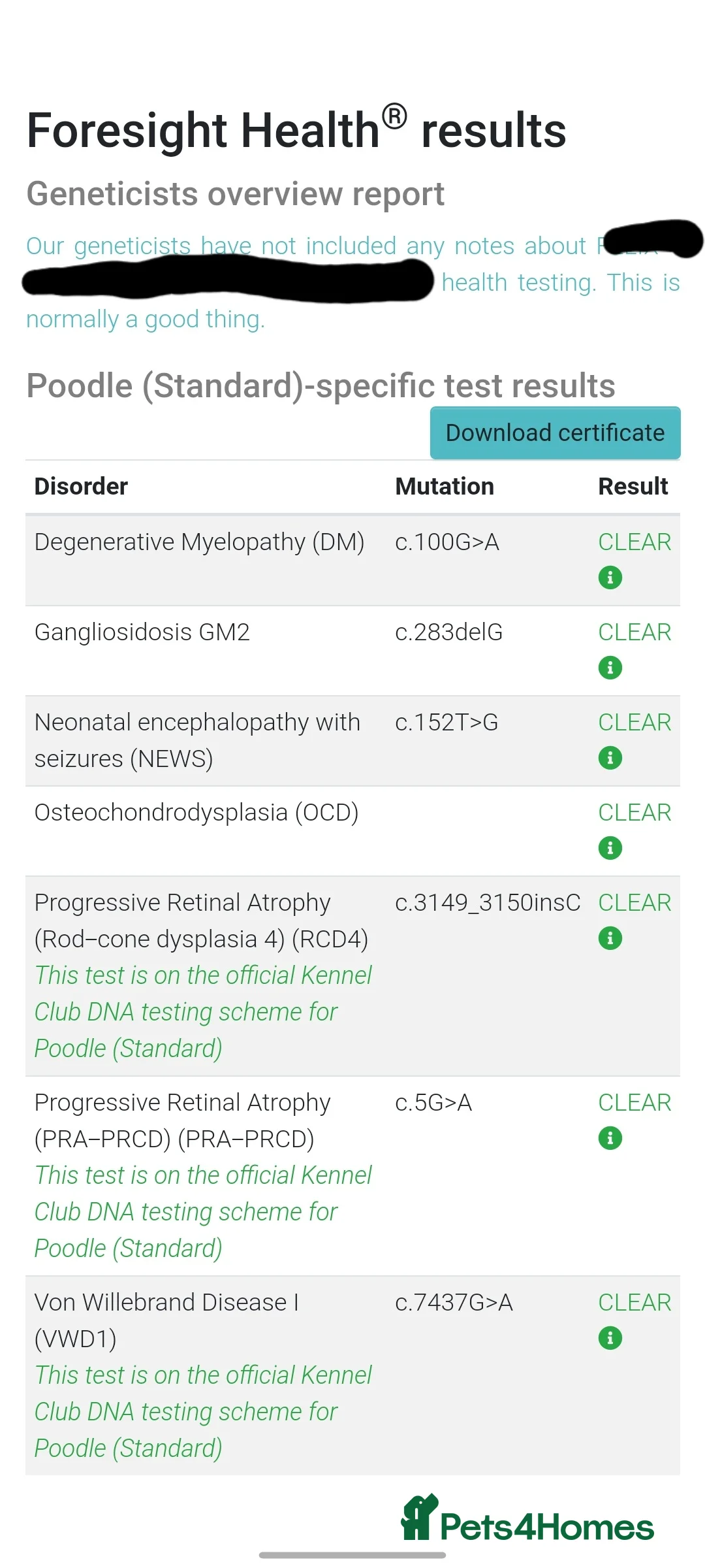 Standard Poodle dogs for stud: Standard Poodle Stud Dog - Int. champion bloodline in Ayr - Advert 2