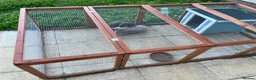 Mini Lop rabbits for sale: Female mini lops with hutch and run  in York - Advert 3
