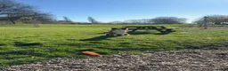 Border Collie dogs for stud: Rex the collie  - Advert 2