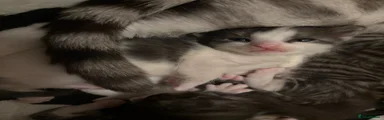 boy 3