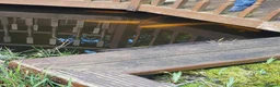 Pond Fish fish for sale: Large Pond Fish in Hayes - Advert 6