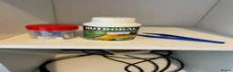 Bearded Dragon reptiles for sale: Bearded dragon complete with full set up in Romford - Advert 6
