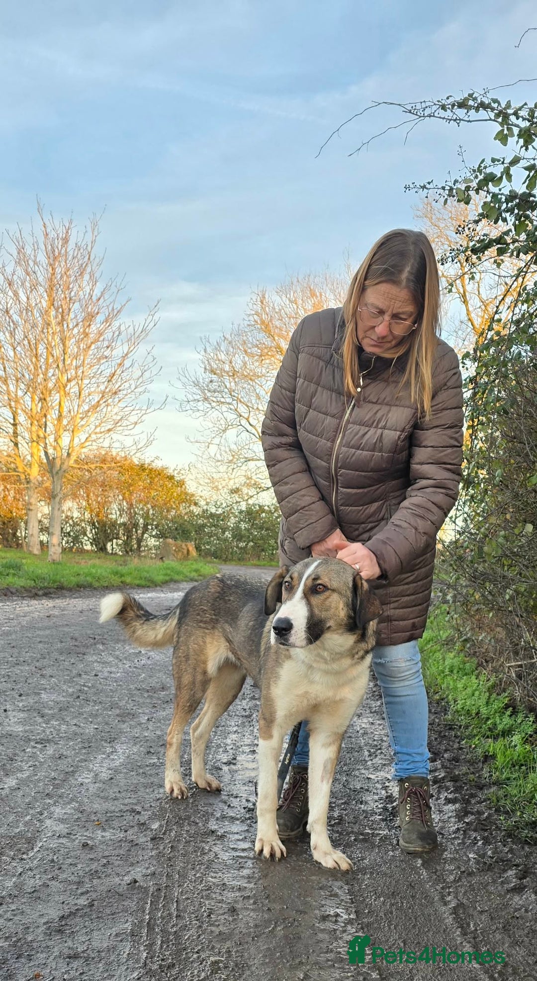 Mixed Breed dogs for adoption: BLANCA - Advert 12