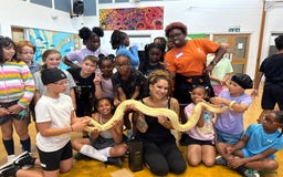 Boa Snake reptiles for sale: Beautiful friendly Albino Boa Constrictor  - Image 3
